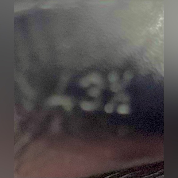 BOTTEGA VENETA MEN'S BLACK BRAIDED LAMB LEATHER SLIDES /SLIP 9.5-10 US 43.5 EURO - Picture 6 of 6